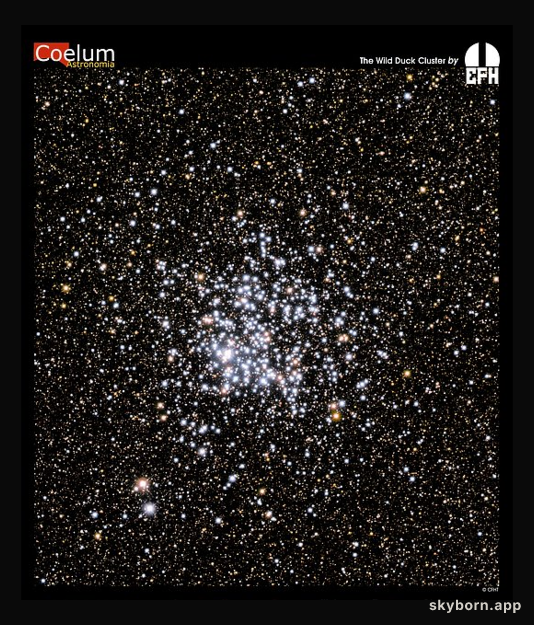 M11: The Wild Duck Cluster