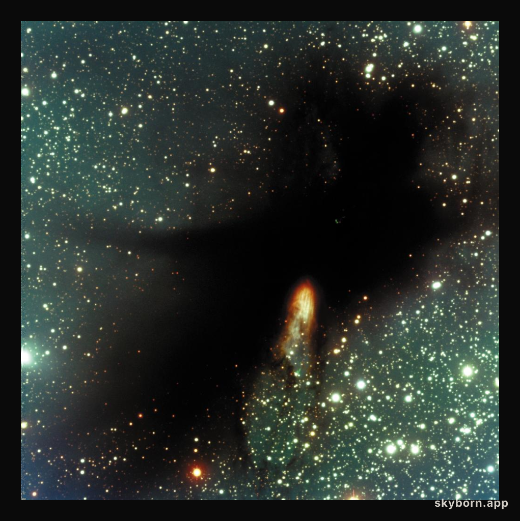 BHR 71: Stars, Clouds, and Jets