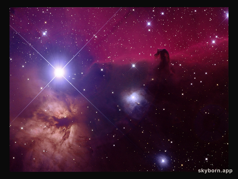 Orion's Horsehead Nebula
