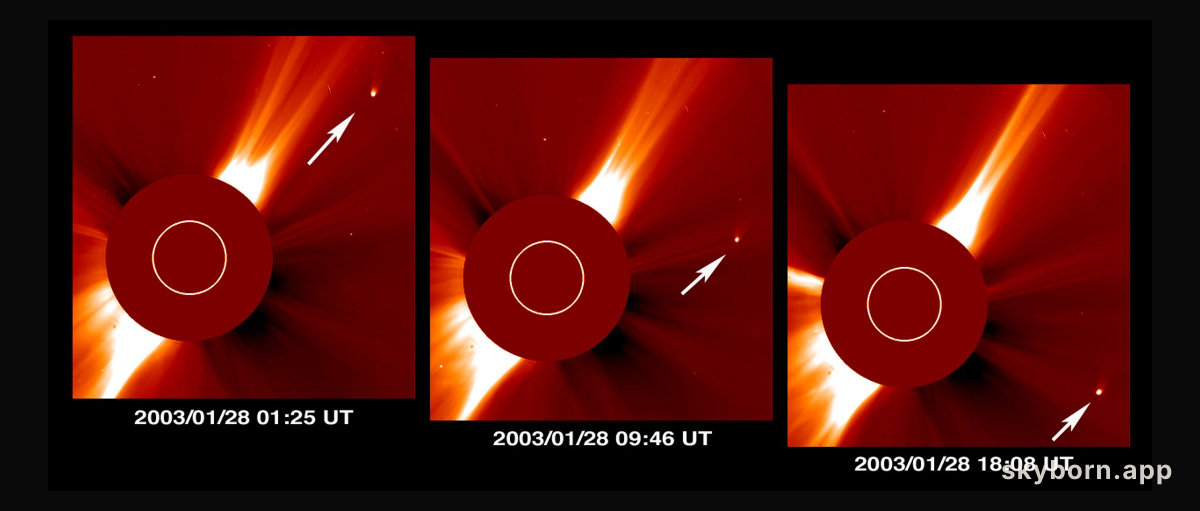 Comet Kudo-Fujikawa: Days in the Sun