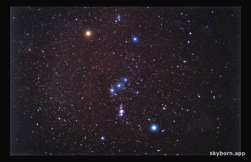 Orion on Film