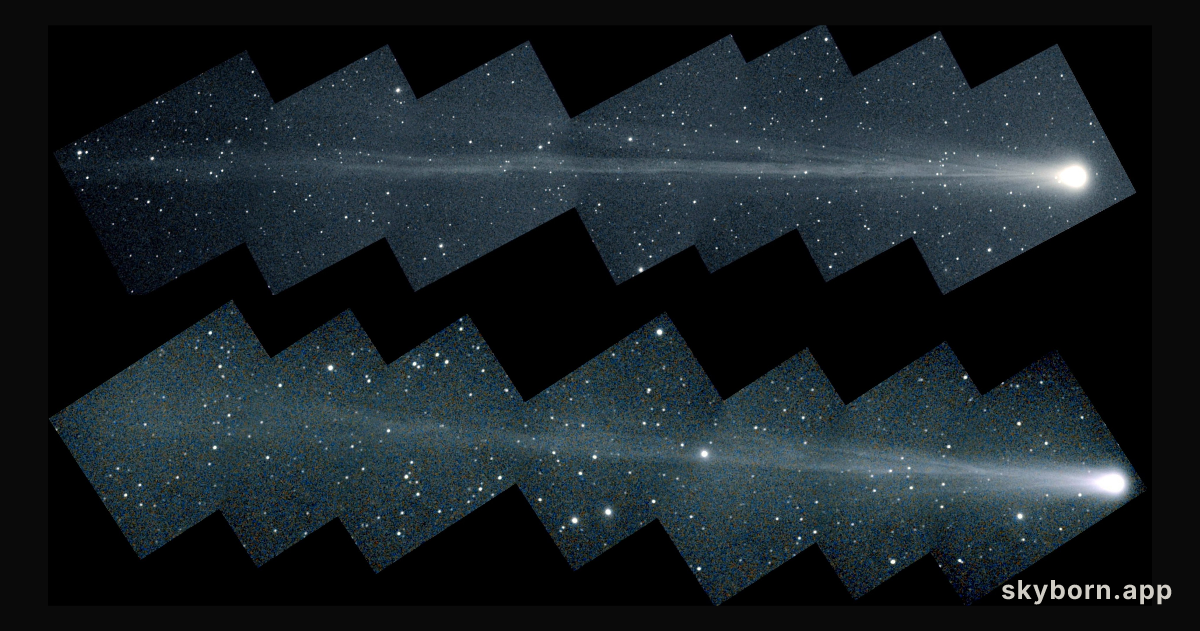 Comet NEAT Approaches the Sun