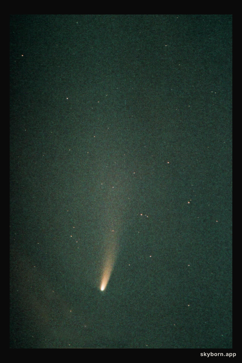Comet NEAT in Southern Skies