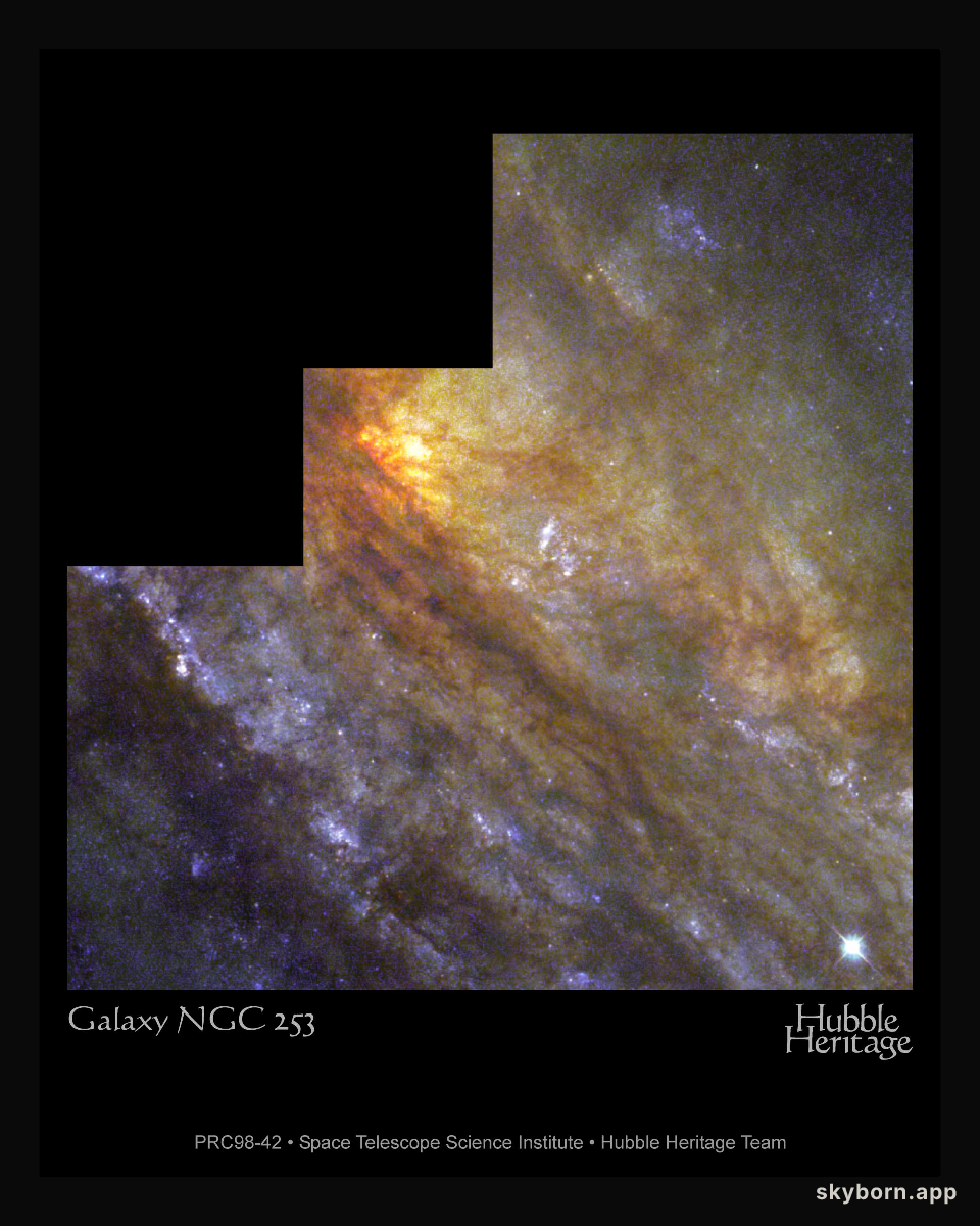 NGC 253: The Sculptor Galaxy