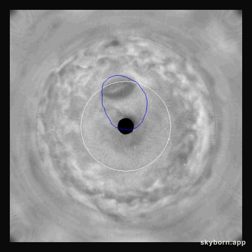 Jupiter's Great Dark Spot