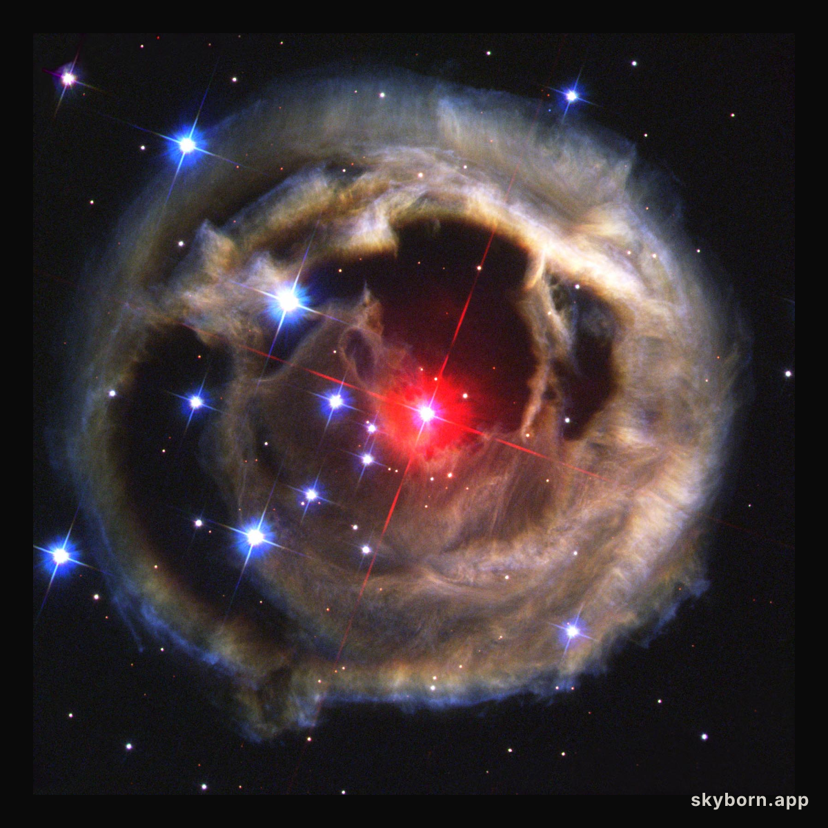 Light Echoes from V838 Mon