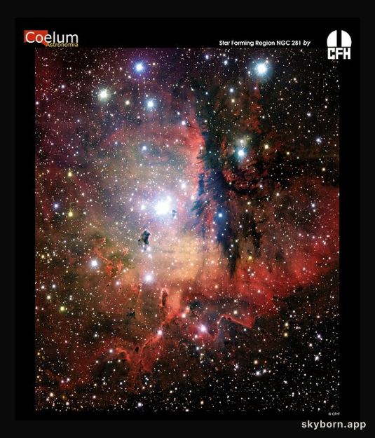 NGC 281: Cluster, Clouds, and Globules