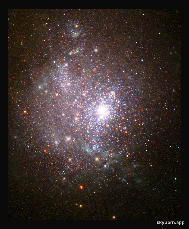 The Stars of NGC 1705