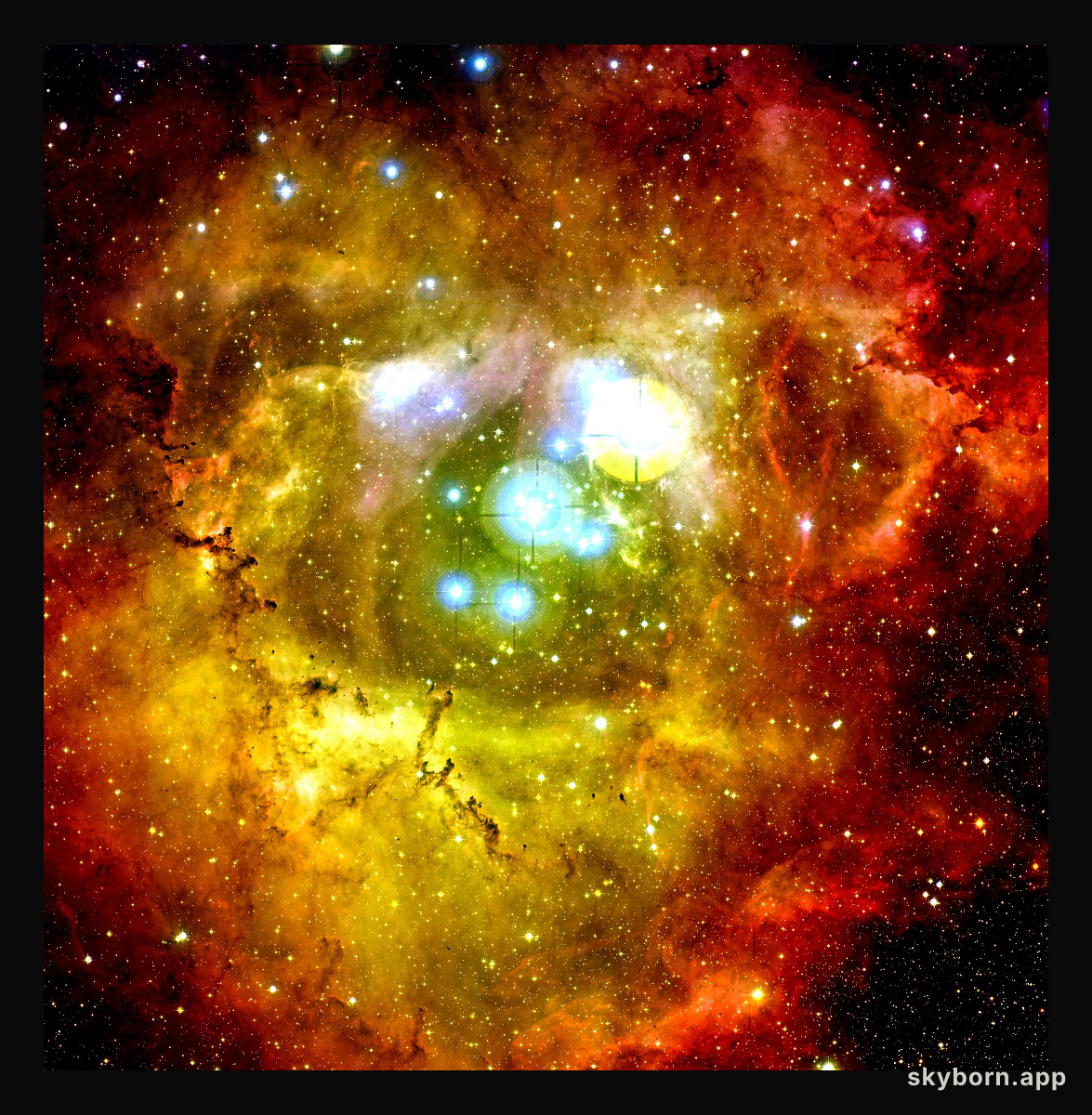 In the Center of the Rosette Nebula