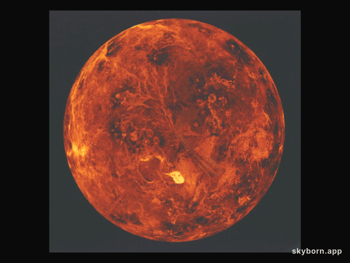 The North Pole of Venus