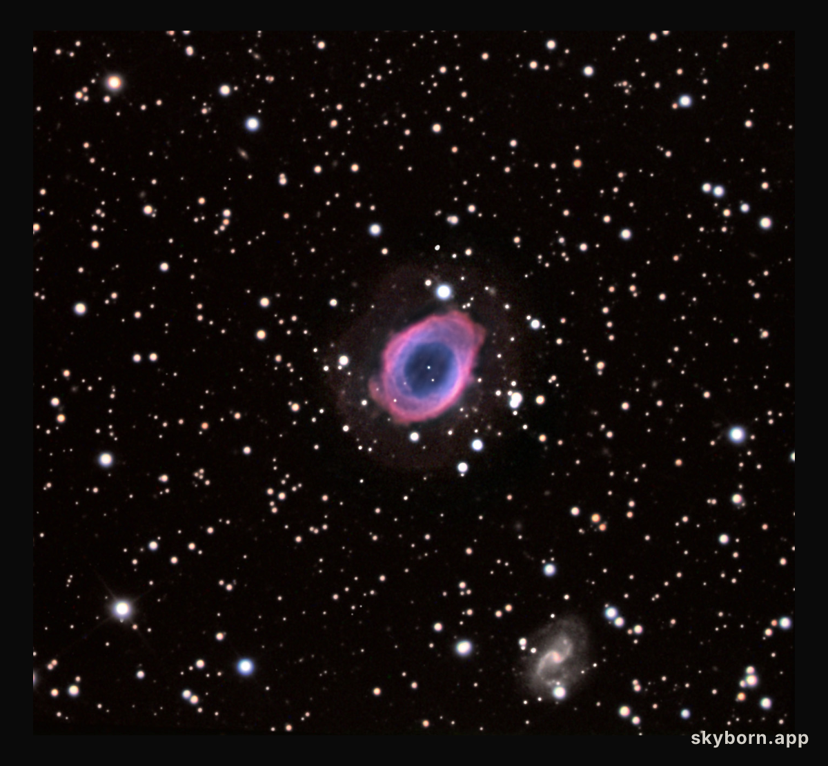 A Tale of Two Nebulae