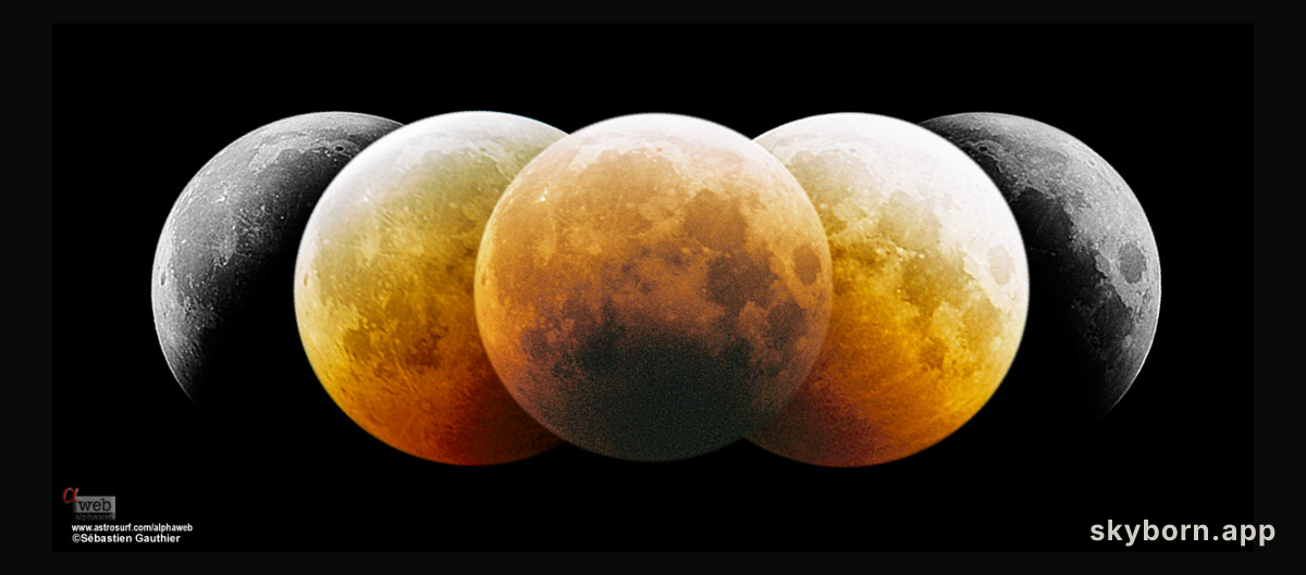Eclipsed Moon Montage