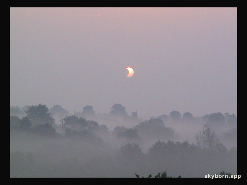Eclipse in the Mist