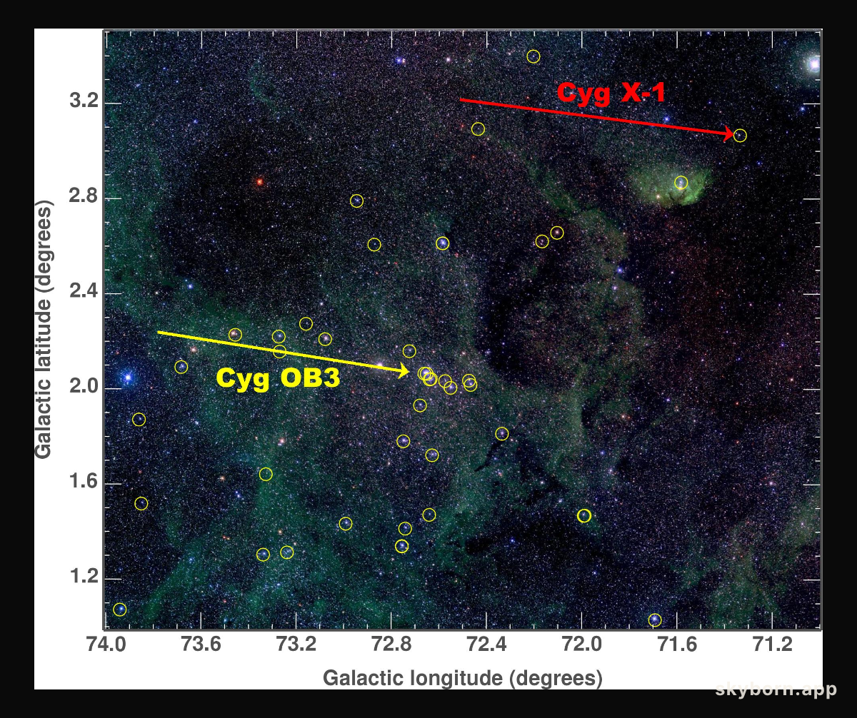 Cyg X-1: Can Black Holes Form in the Dark?