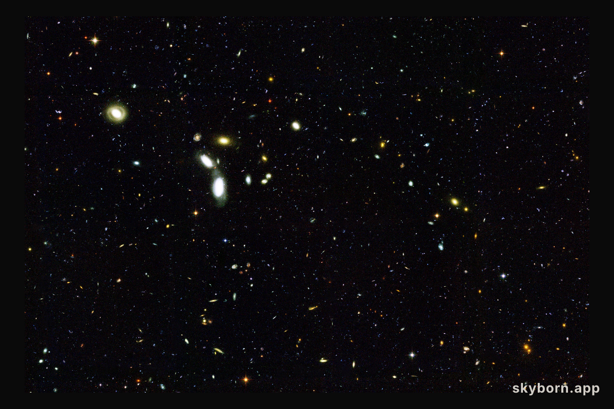Galaxies in the GOODS