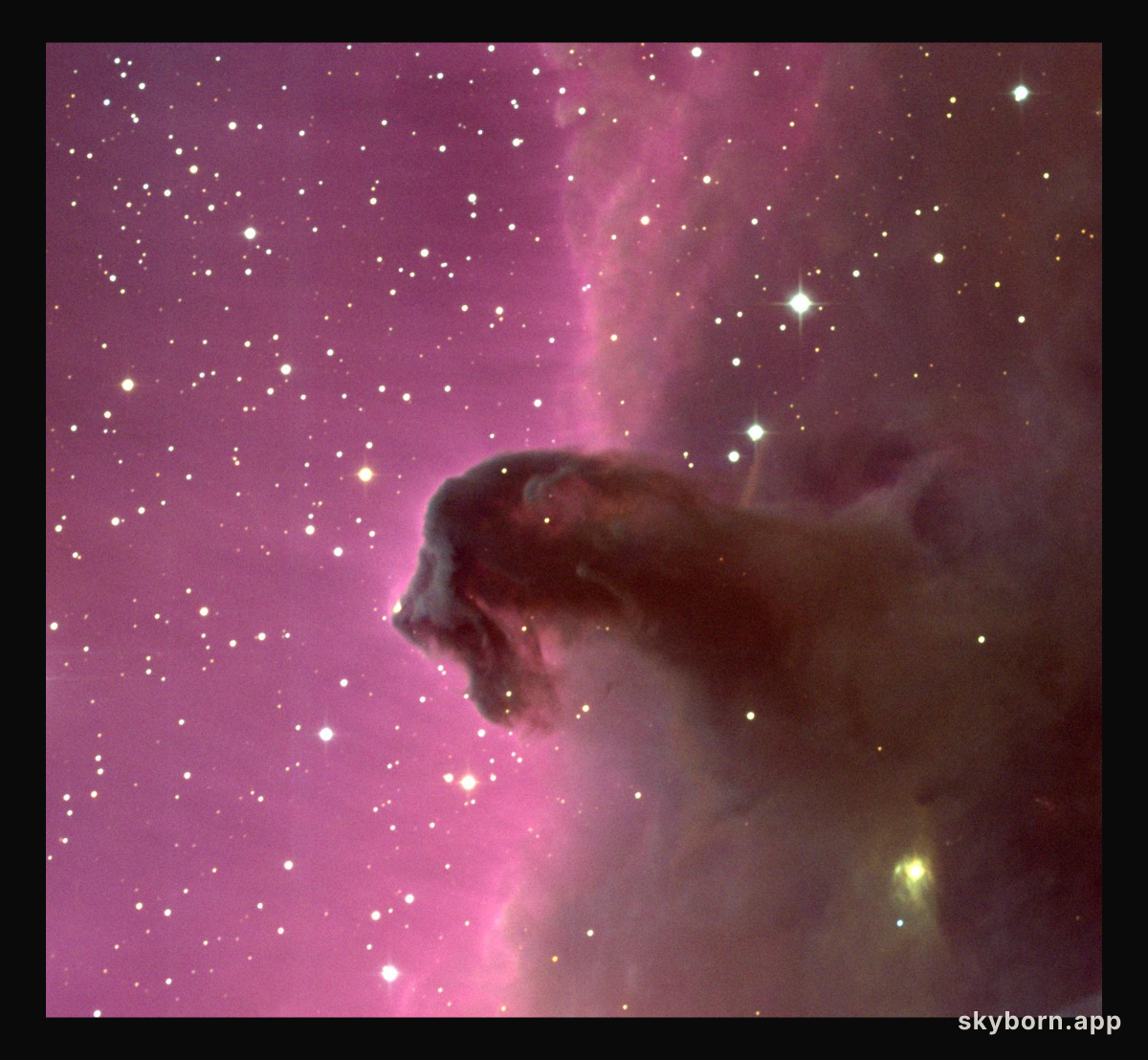 The Horsehead Nebula
