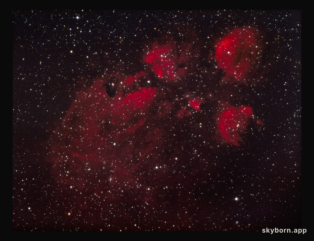 The Cat's Paw Nebula