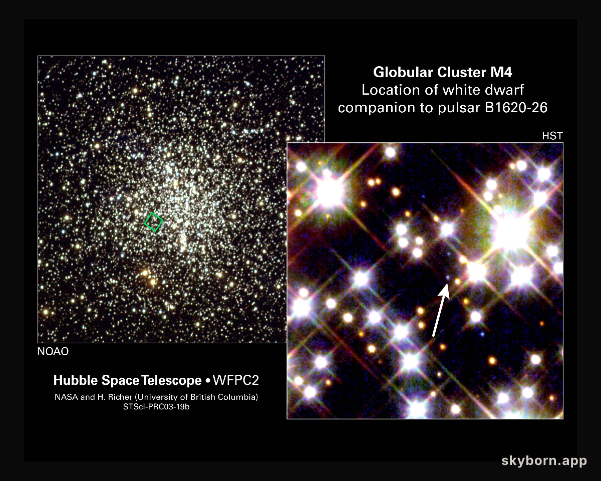 The Planet, the White Dwarf, and the Neutron Star