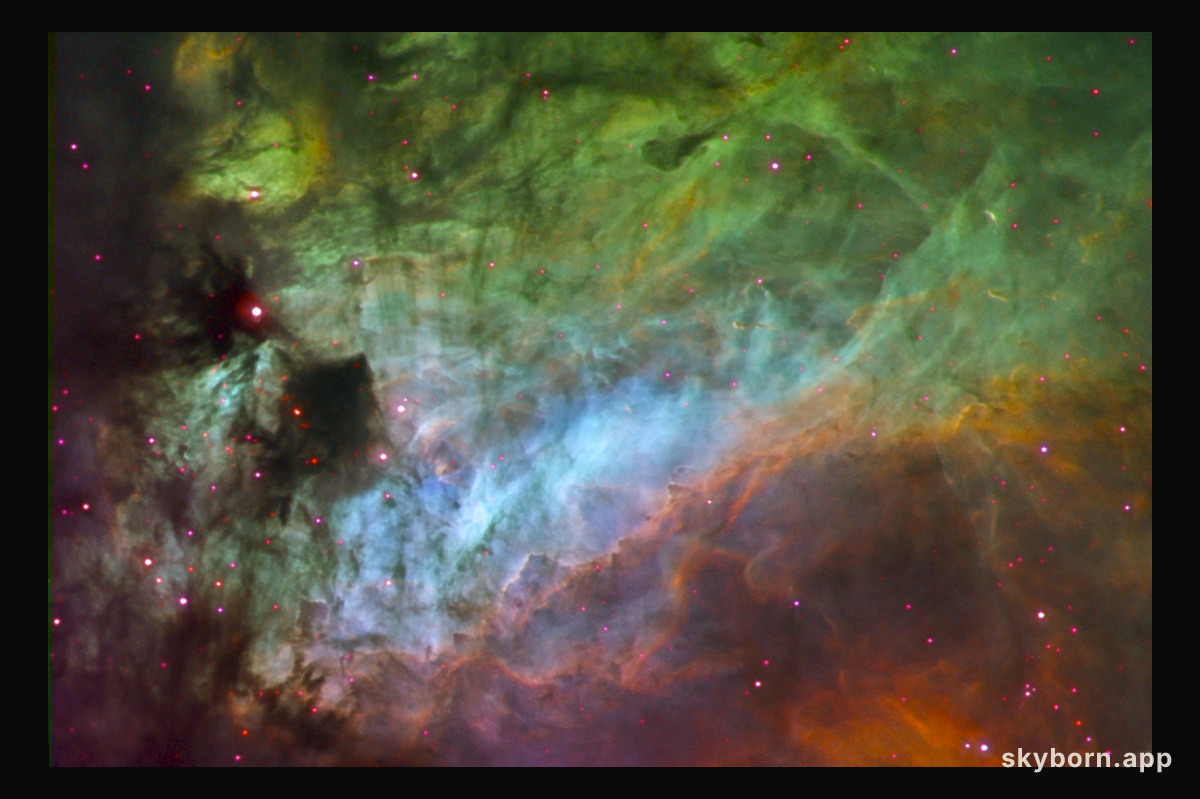 Elements of the Swan Nebula