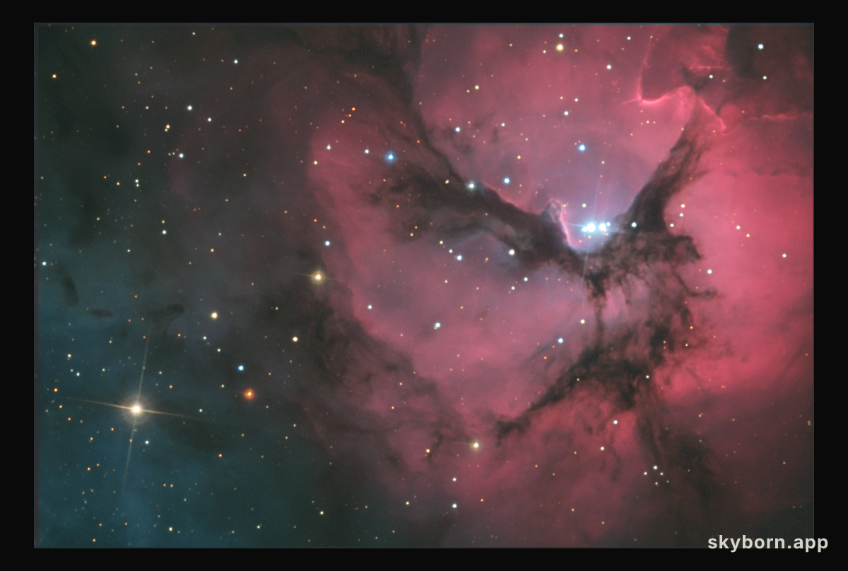 A Beautiful Trifid