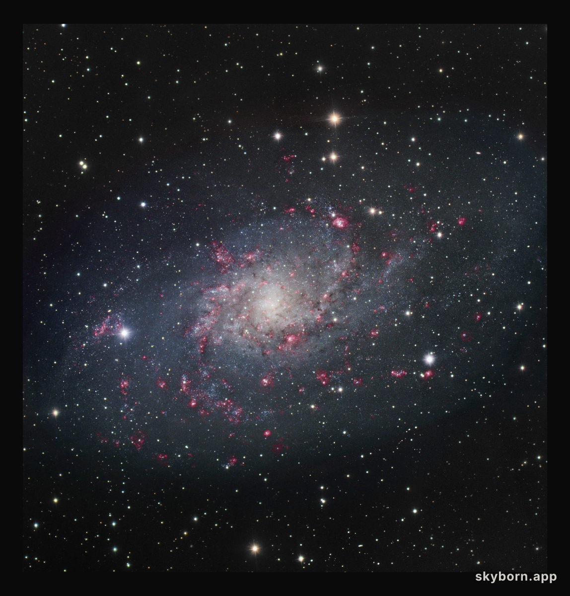 M33: Spiral Galaxy in Triangulum