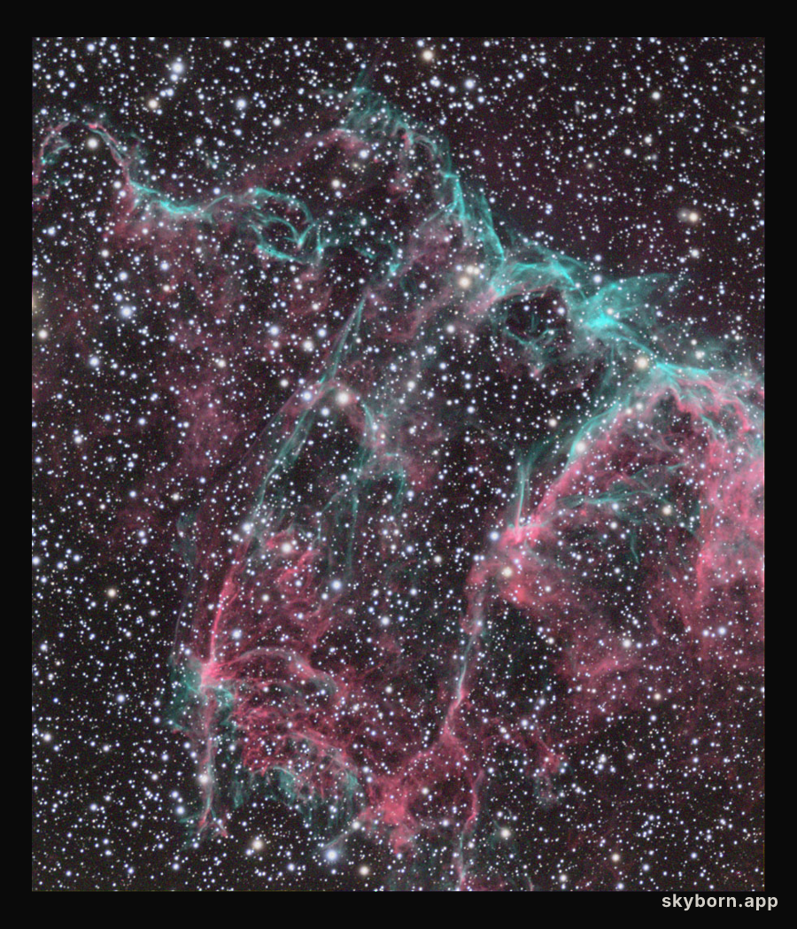 IC1340 in the Eastern Veil