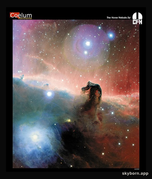 The Colorful Horsehead Nebula