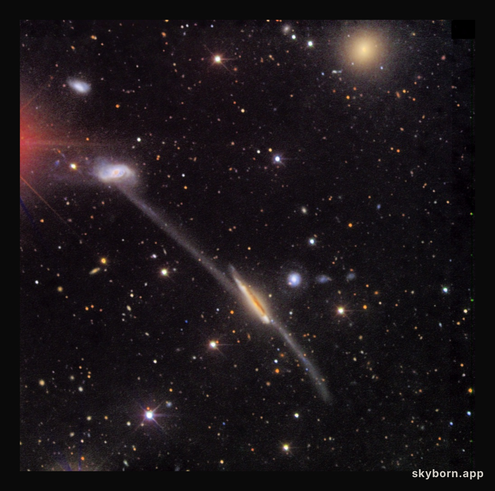 Peculiar Arp 295