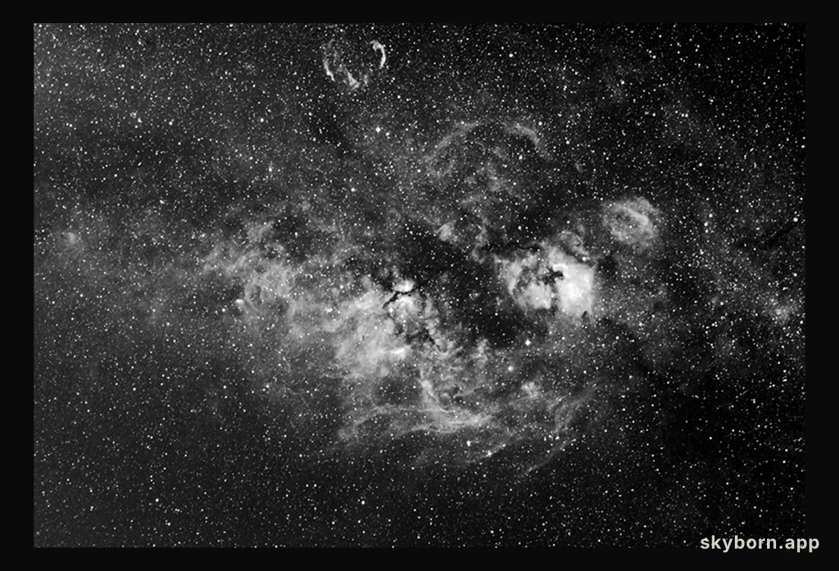 Cygnus Nebulosities