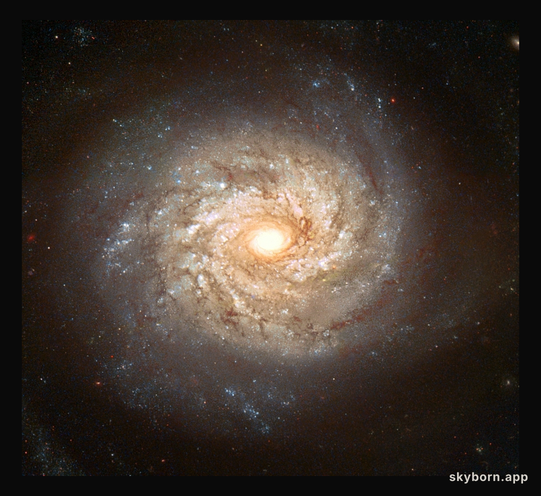 Spiral Galaxy NGC 3982 Before Supernova