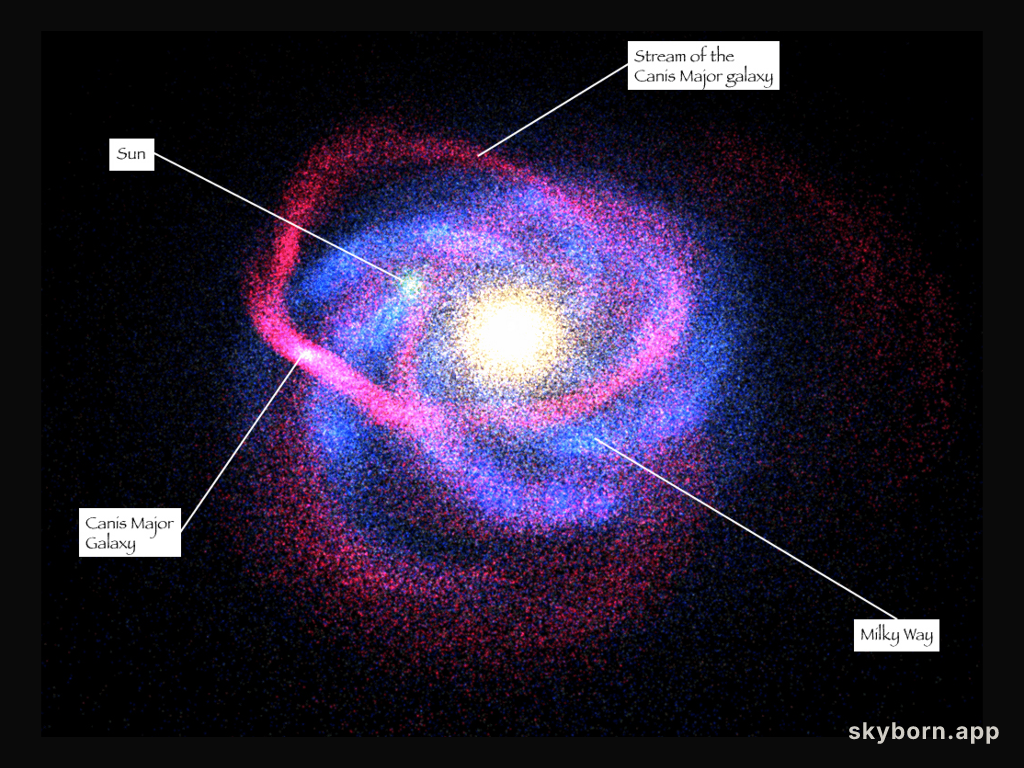 Canis Major Dwarf: A New Closest Galaxy