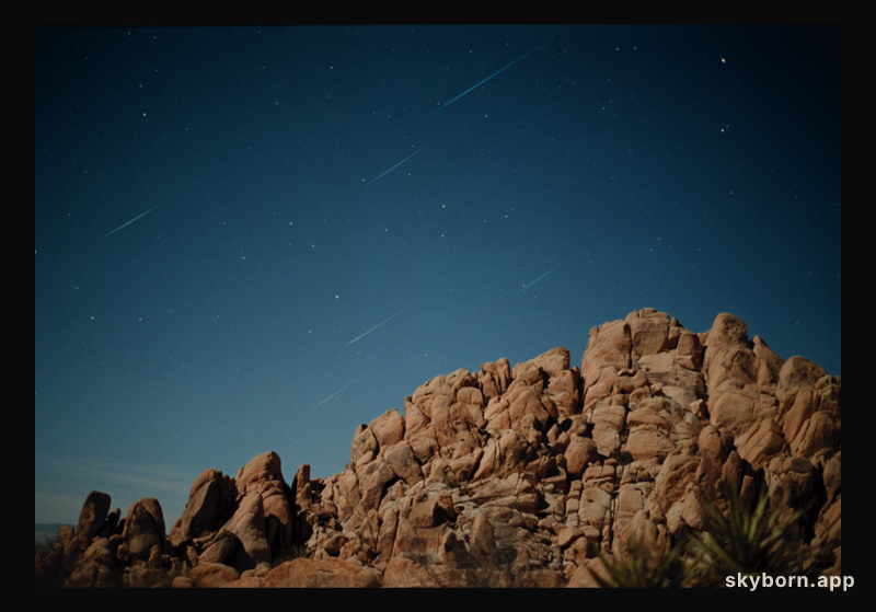 Leonids Over Indian Cove