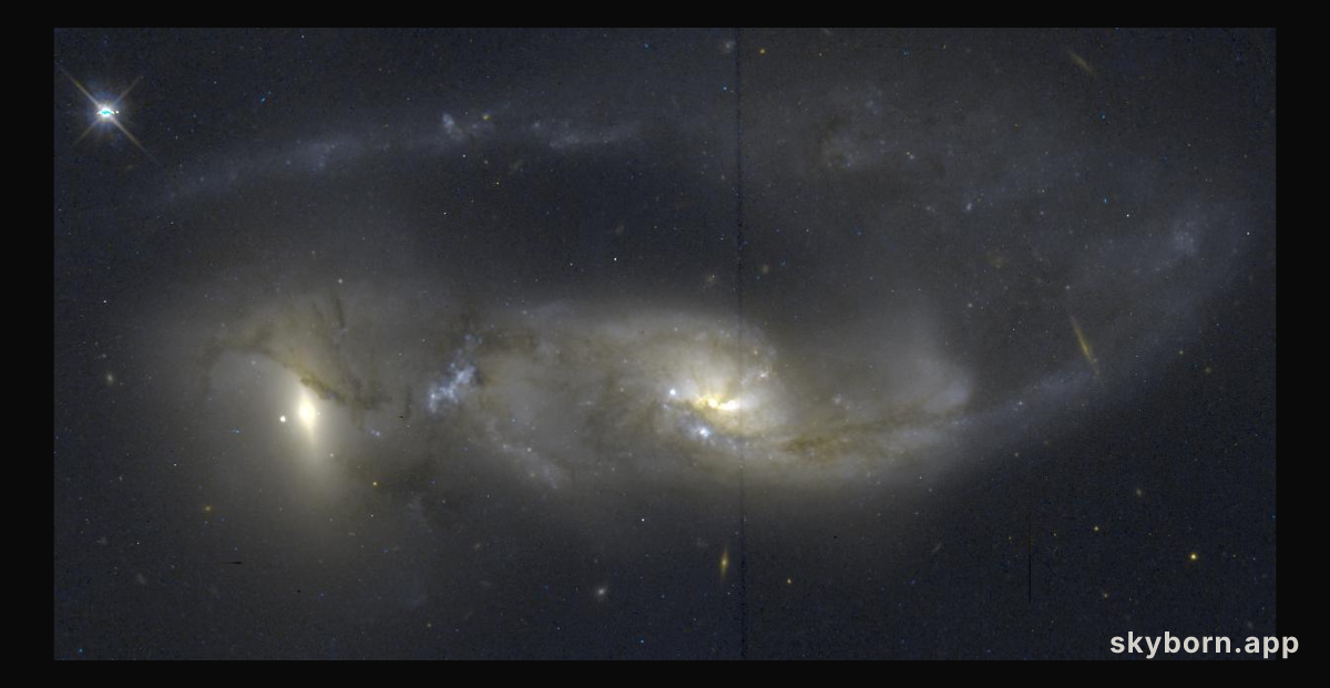 Arp 81: 100 Million Years Later