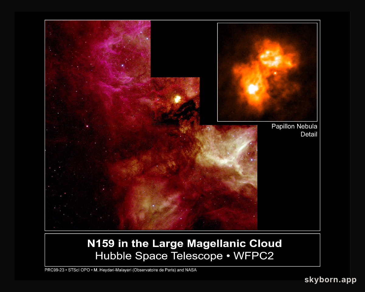 N159 and the Papillon Nebula