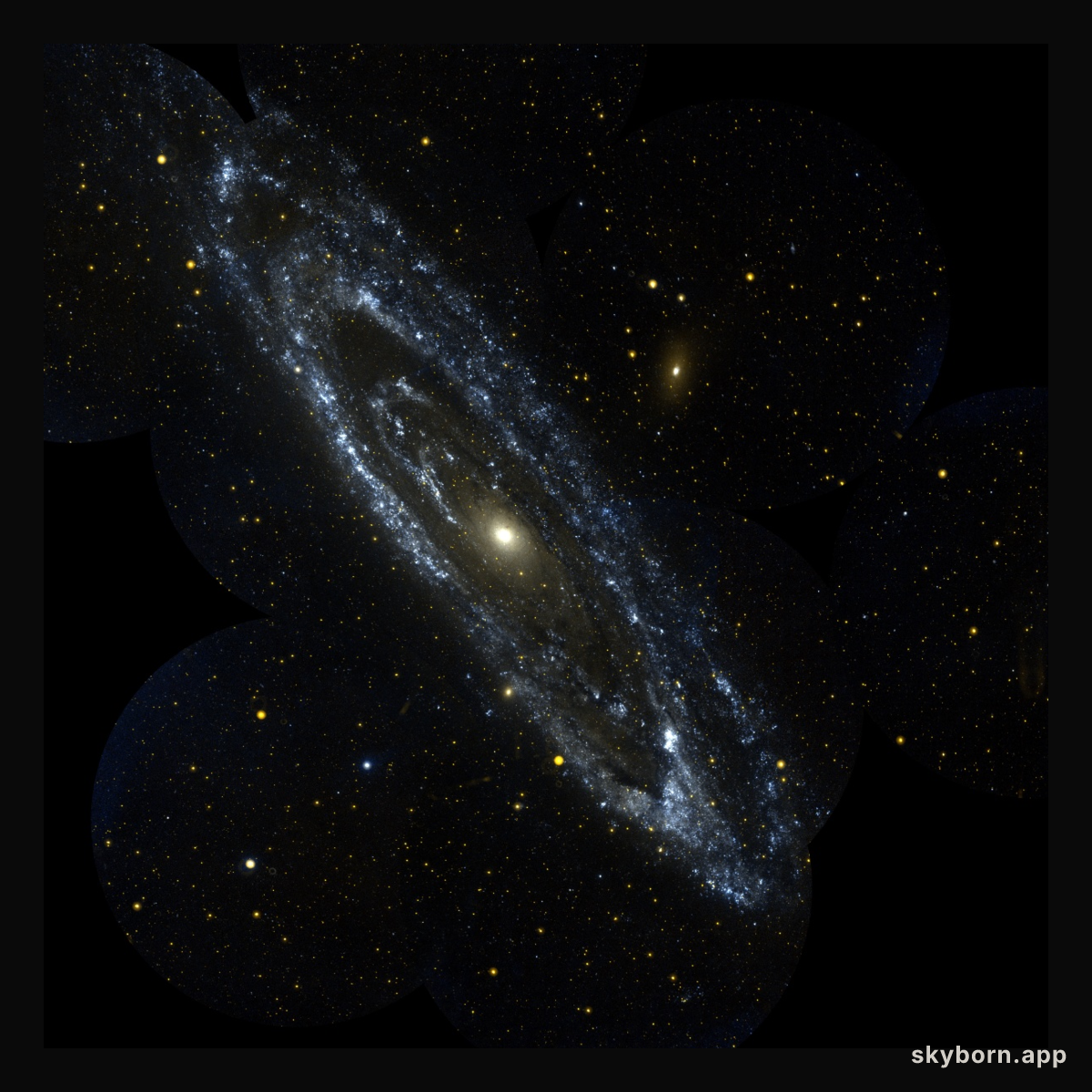 The Andromeda Galaxy from GALEX