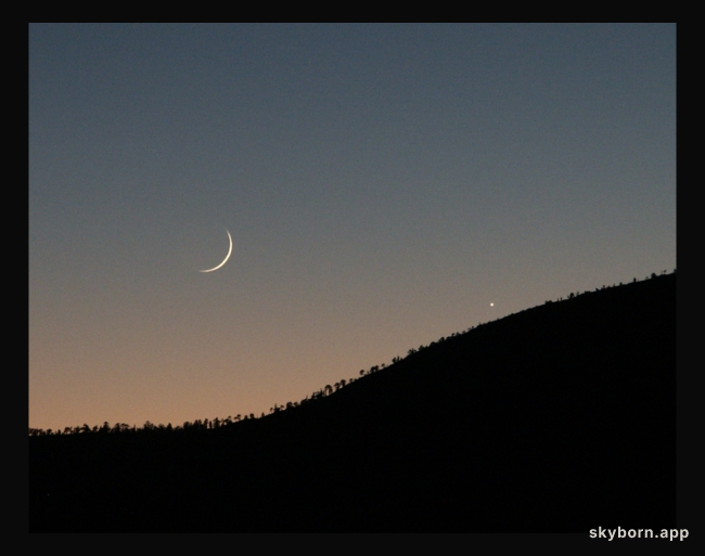 Venus and the 37 Hour Moon
