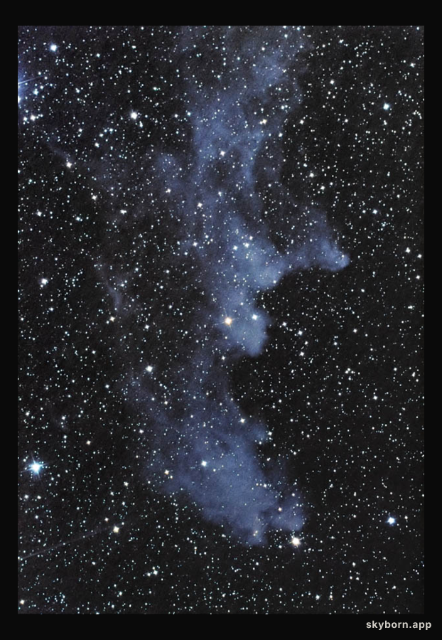 The Witch Head Nebula