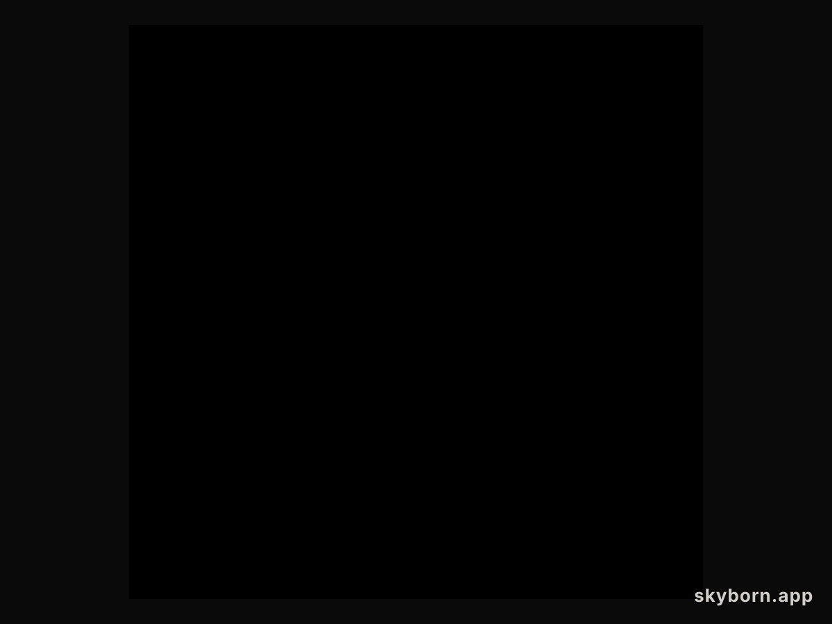 STARDUST Flyby of Comet Wild 2