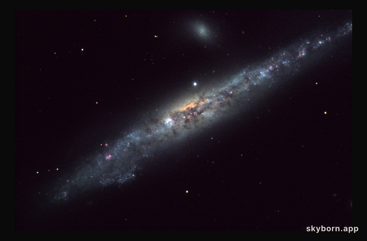 NGC 4631: The Whale Galaxy