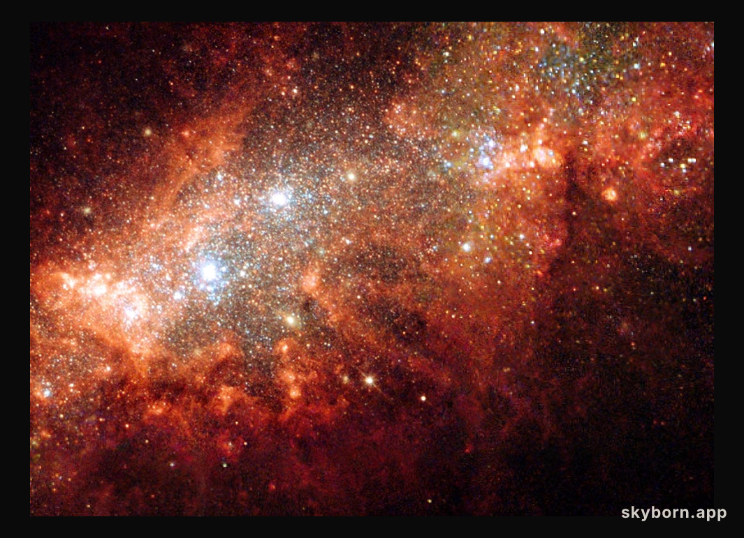NGC 1569: Starburst in a Small Galaxy