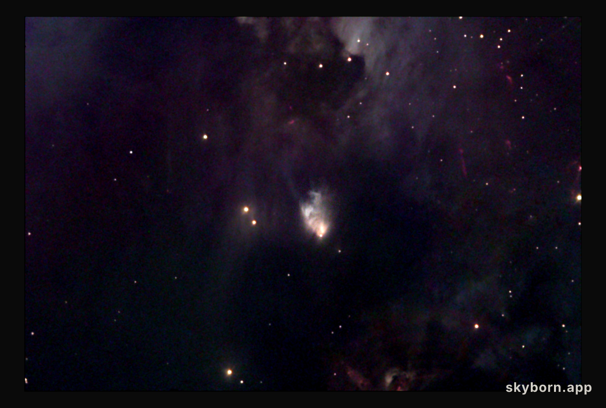 McNeil's Nebula