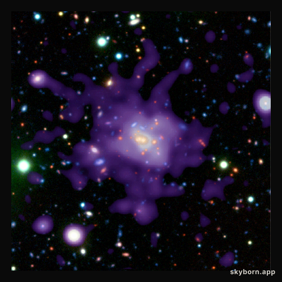 Galaxy Cluster in the Early Universe