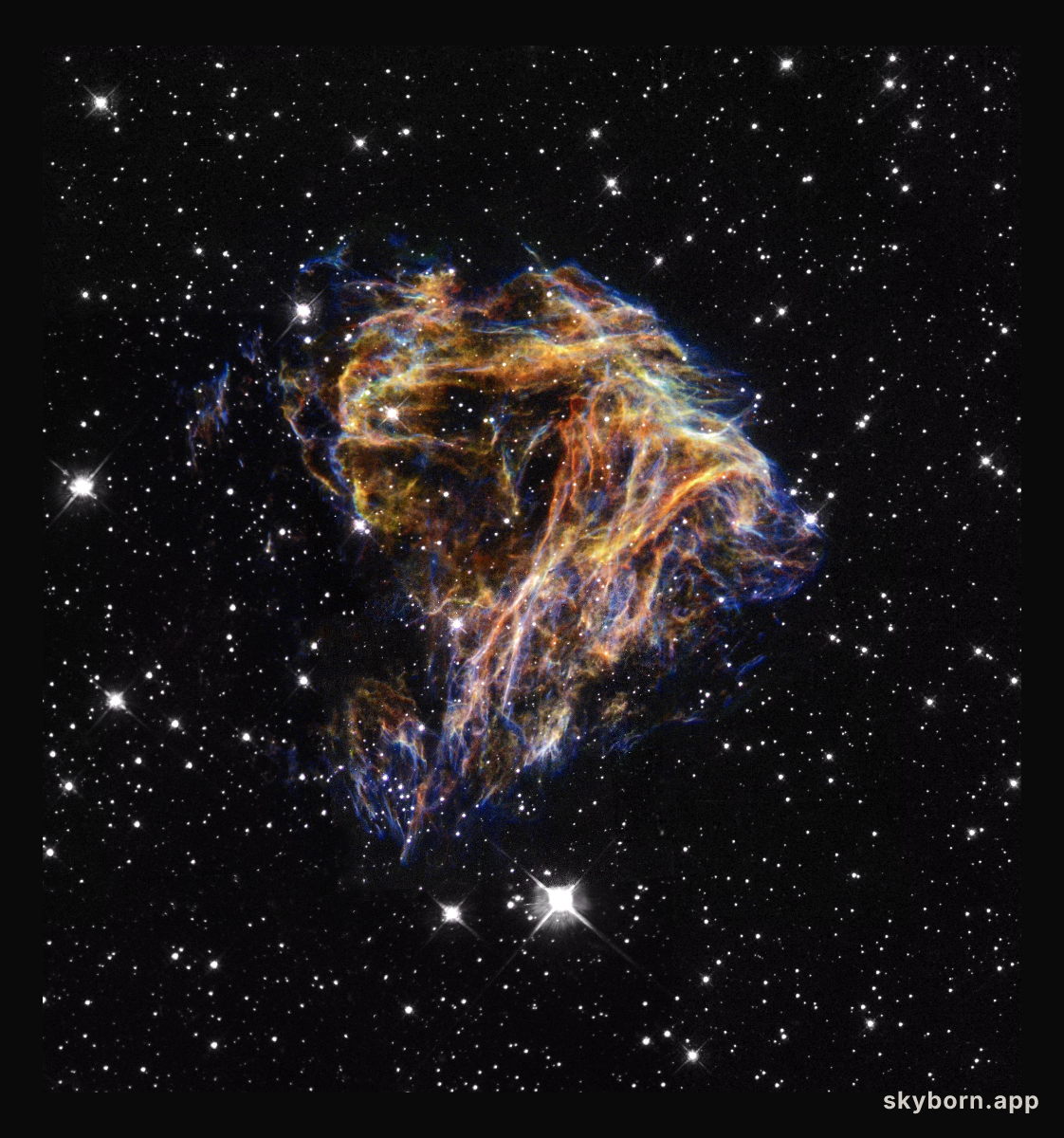 N49's Cosmic Blast