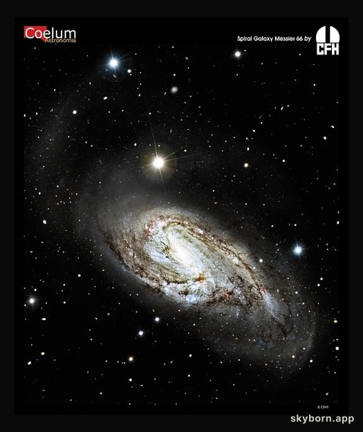 Unusual Spiral Galaxy M66