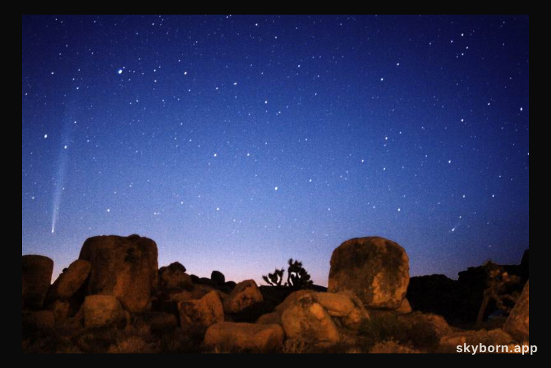 Comets Bradfield and LINEAR Rising