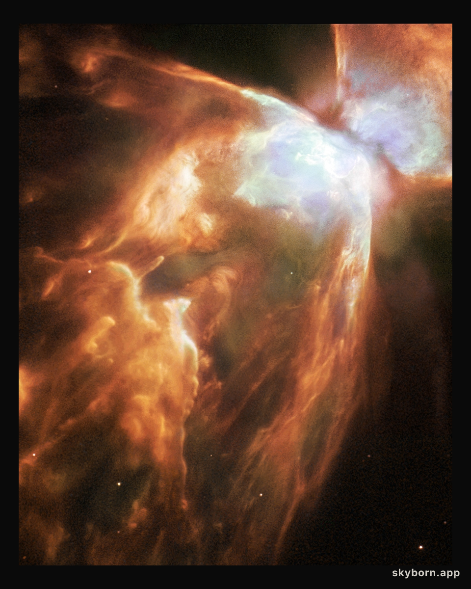 NGC 6302: Big, Bright, Bug Nebula