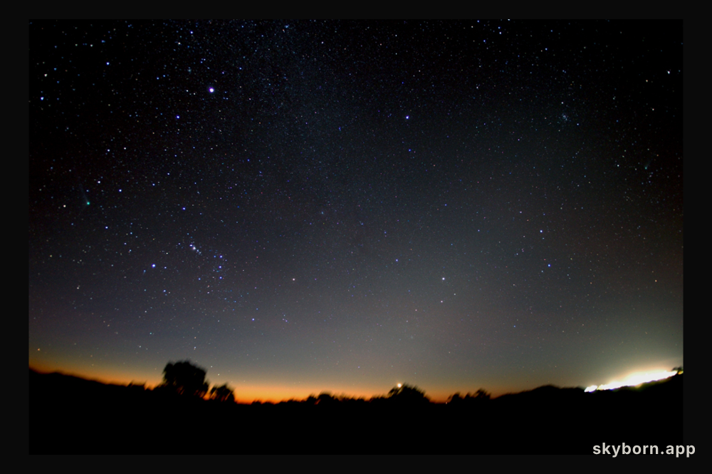 Two Comets in Southern Skies