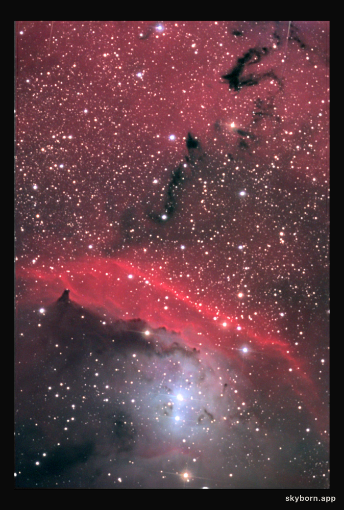 In the Center of NGC 6559