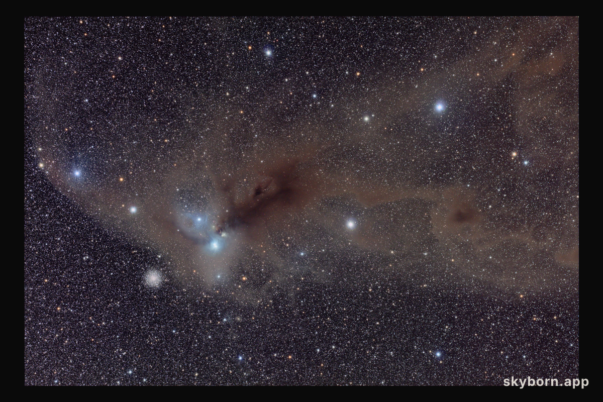 Stars and Dust in Corona Australis