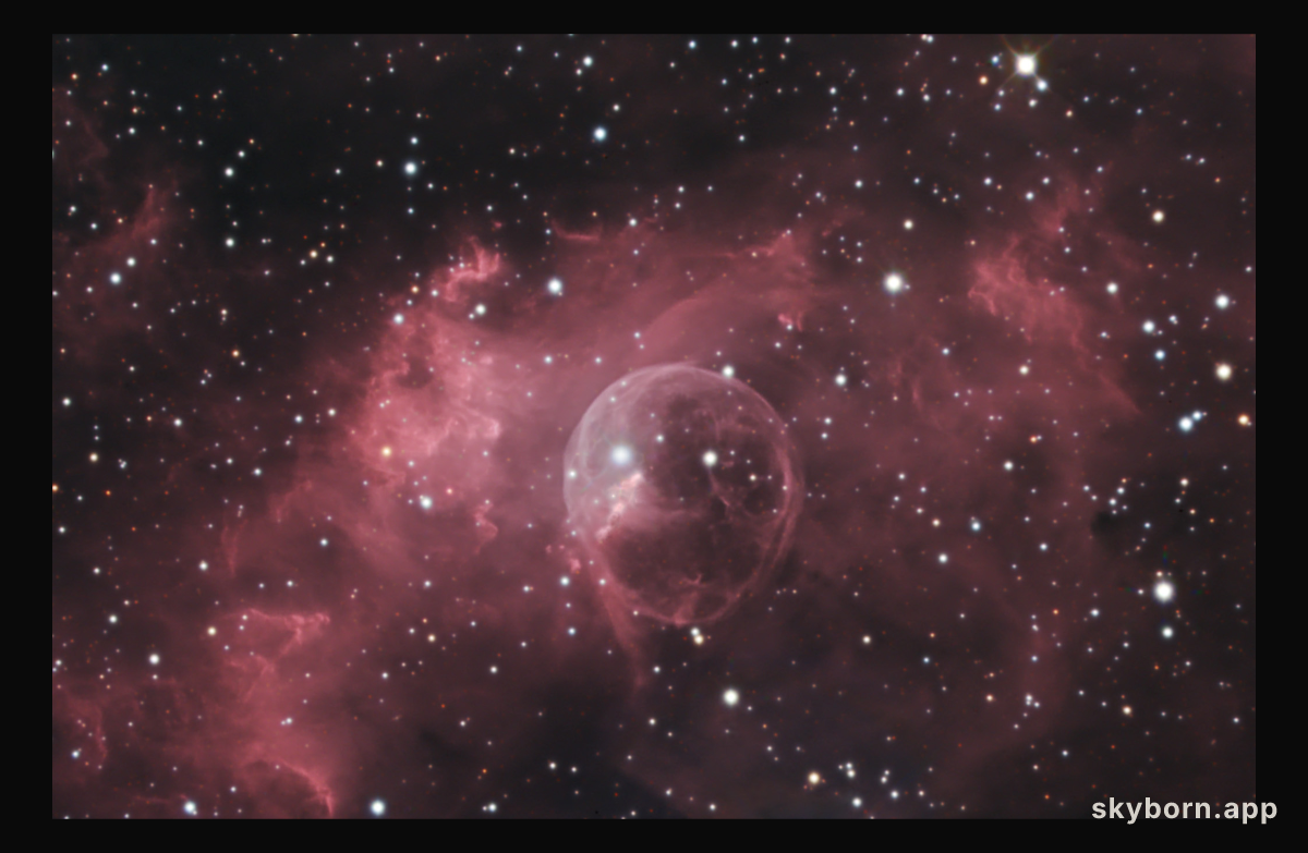 The Bubble
